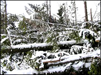 Po vichřici, zdroj:www.pravda.sk