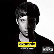 Review of Playing in the Shadows Review of Playing in the Shadows