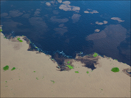 Ríos Amazonas y Negro. Foto: Daniel Beltrá