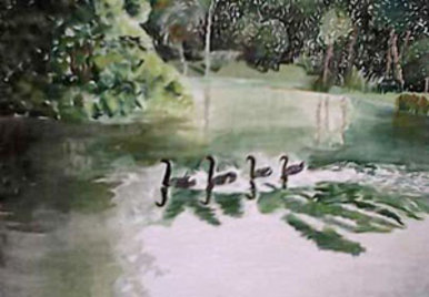Ducks-water colour