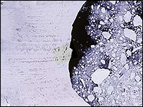 قفسه يخی لارسن بی