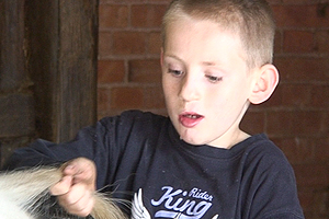 BillySam loves being outdoors, spending time his foster family and their horses. When he moves to a permanent family, Billy Sam hopes he will have a real horse of his own.