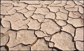 Parched field