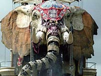 The Sultan's Elephant