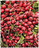 radishes