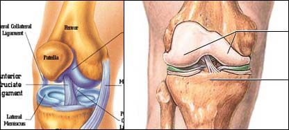 د زنګانه درد