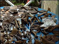 डोडो की हड्डियाँ