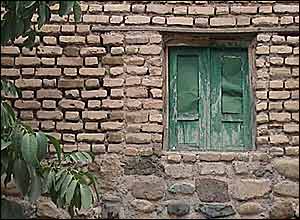 عکس از محمد جواد عليزاده