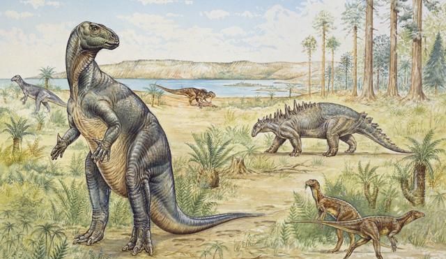 Bird-hipped dinosaurs (image: Natural History Museum, London)