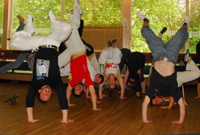 Dawns y capoeira