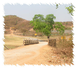 जादूगोड़ा का जादुई सच