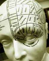 Exploring the Musical Mind