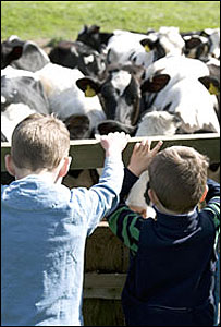 Crianças em fazenda