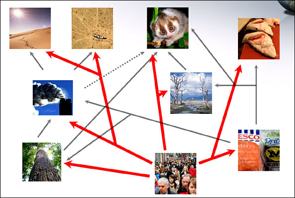 Environmental_issues_schematic