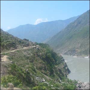 کالا ڈھاکہ میں پوست کی کاشت