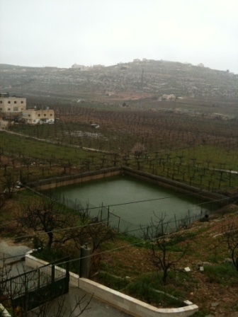 Albowaireh region in the winter, a pond is mediated it to irrigat the surrounded fields of grapes, this pond is filled now with the rain water.