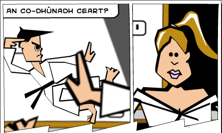 An co-dhùnadh ceart?