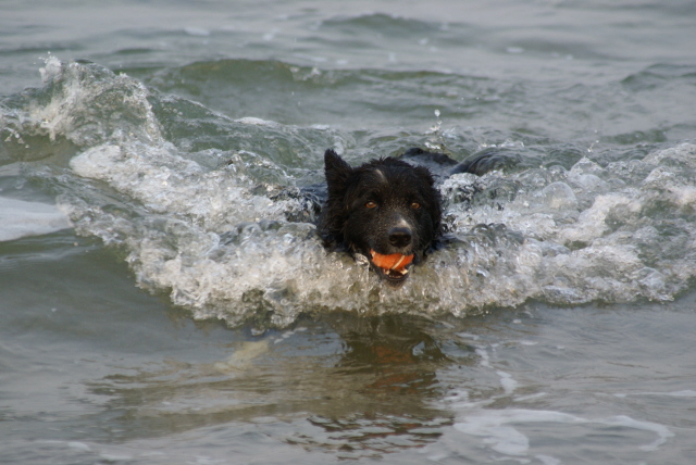 Swimming is hard work