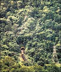 सरिस्का अभयारण्य