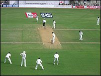 क्रिकेट