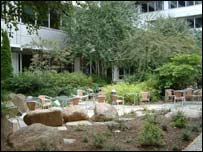 Bên trong White City