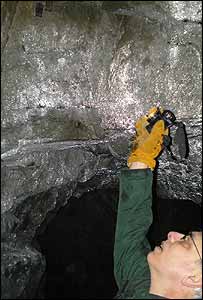 Tom French mostra cavernas onde morcegos deveriam hibernar