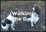 Walking The Dog