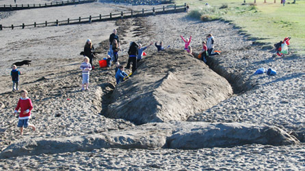 giant sand sculpture in the form of a whale in Fishguard