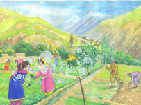 دختران در حال سبزی چيدن