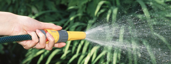watering a garden with water from hosepipe