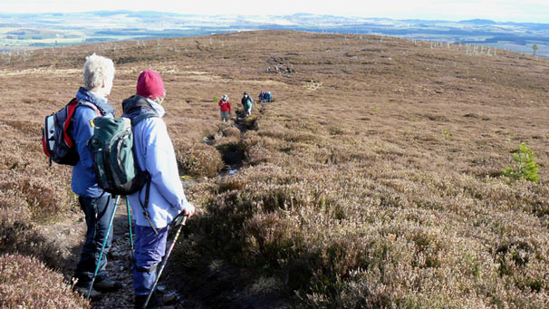 Two walkers look back down path towards others