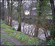 The River Tavy