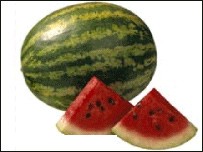 تربوز پیداوار افغانستان است.