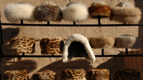 fur hats for sale in Khiva