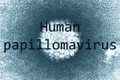 the HPV virus