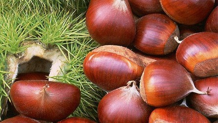Chestnuts not roasting
