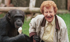 female chimpanzee with lady