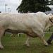 Royal Highland Show 2010