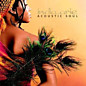 Review of Acoustic Soul