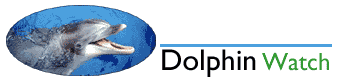 Dolphin watch 