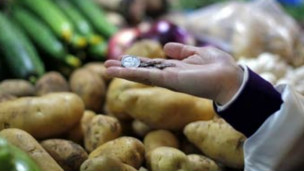 春節前中國各地蔬菜價格大幅上漲