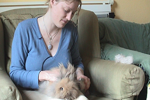 Loveday has a house full of rabbits. Here she introduces us to some of her fury friends.
