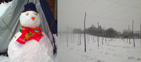 Snow in Liverpoool and Kent