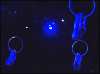 circus