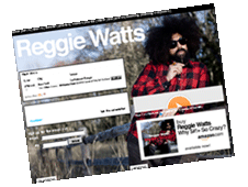 Reggie Watts