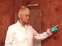 Dead Ringers - Mark Perry as Aggie - How Clean is Your House