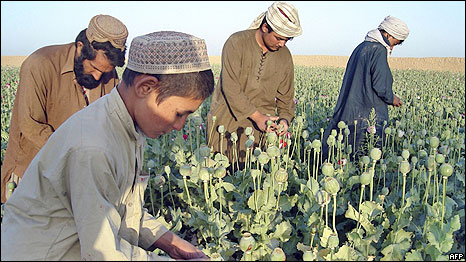 Afghanistan,, drugs, US, Pentagon, Taliban