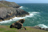 Y Maen Melyn ger Uwchmynydd, y cymharwyd ei liw i wallt merch gan Dafydd Nanmor mewn cywydd enwog: Gwallt Llio. Llun drwy garedigrwydd www.cimwch.com/ 