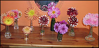 dahlias.jpg
