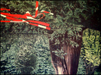 Queensgate Beverley by Steve Upton